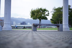 ベンチがあるとついつい・・・。