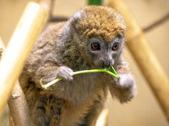 上野動物園にて005