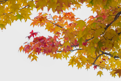 77D9146D-2709-4604-B042-80D05ABBE1A3