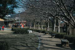 _MG_5096