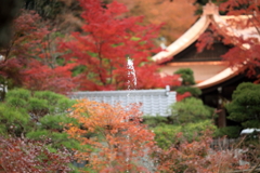 晩秋の彩り2