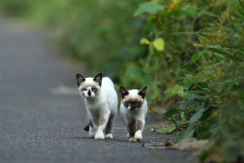 お互いに、にらめっこしましょ(^^♪