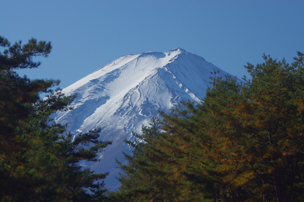 冬の到来