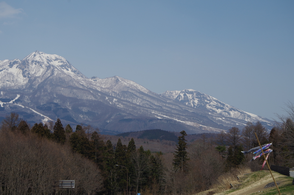 残雪の山と鯉のぼり