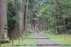 平泉寺白山神社2