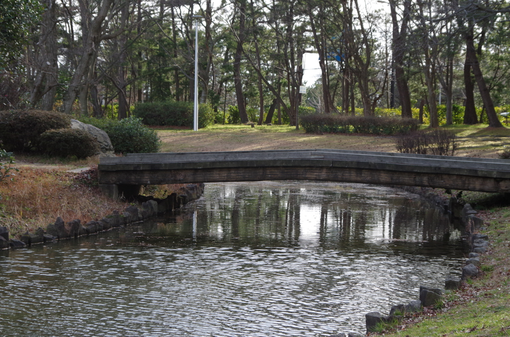 池の風紋