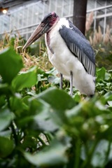 神戸 動物園