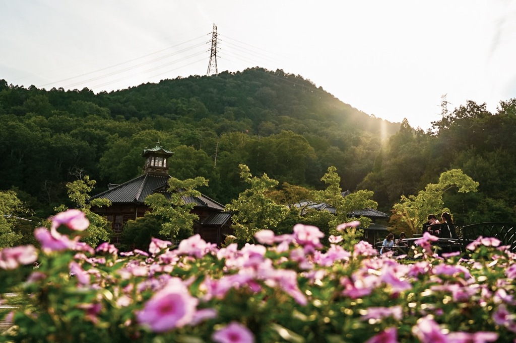 明治村 花畑