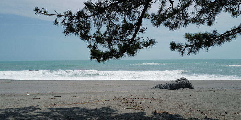 桂浜