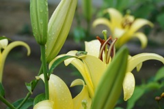DSC00005