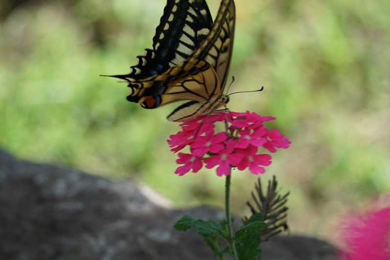 DSC00027