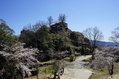 苗木城