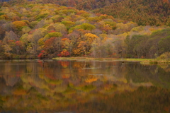 鏡池