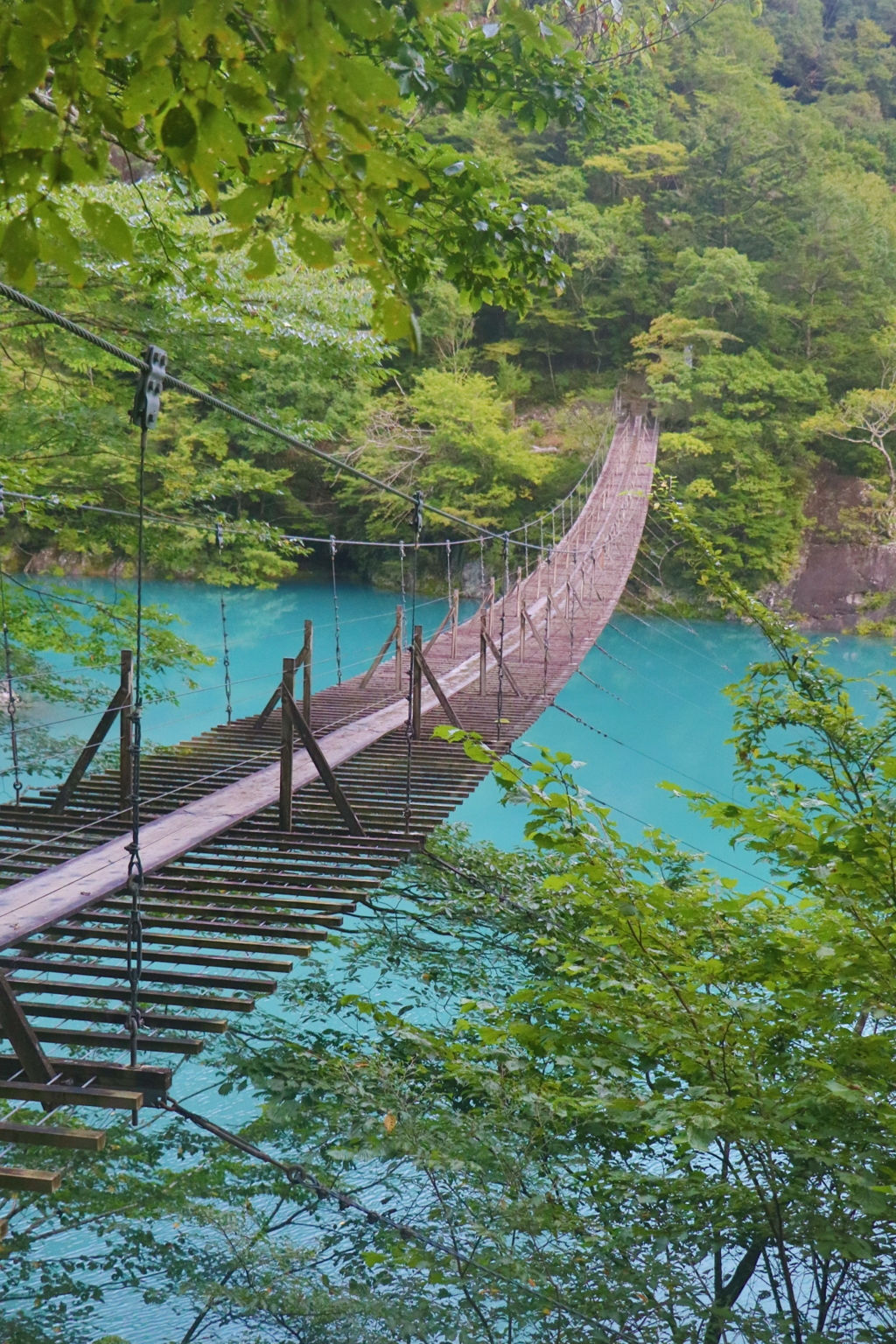 夢の吊り橋　②