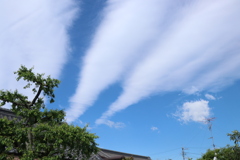 雨上がり