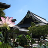 高田本山専修寺
