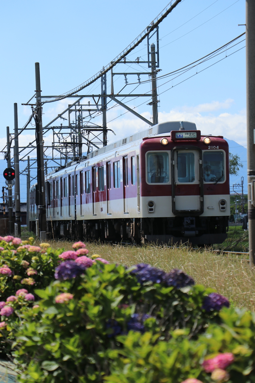 あじさいロード
