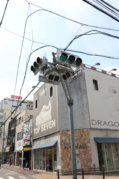 進化系