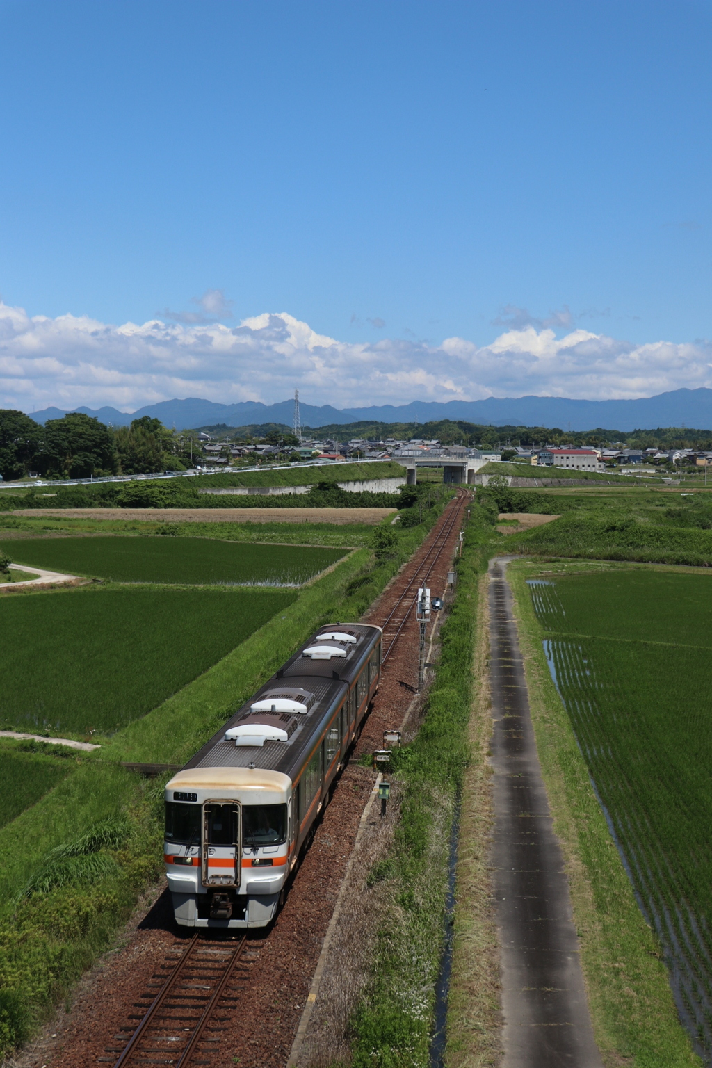 水田を行く。①