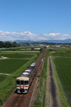 水田を行く。①