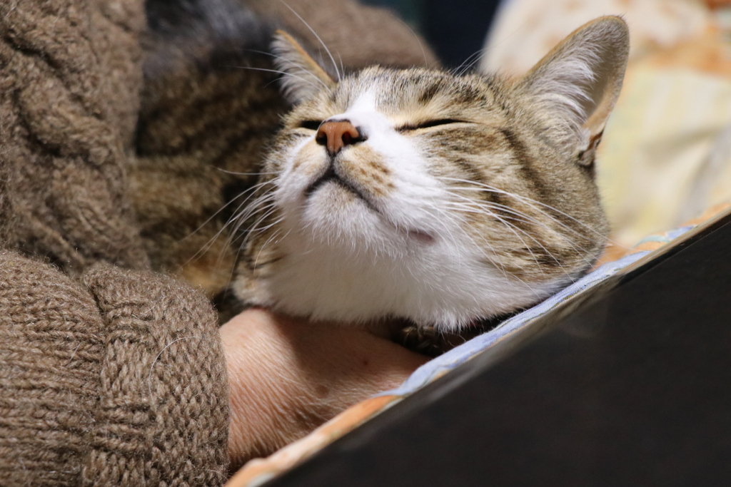 う〜ん