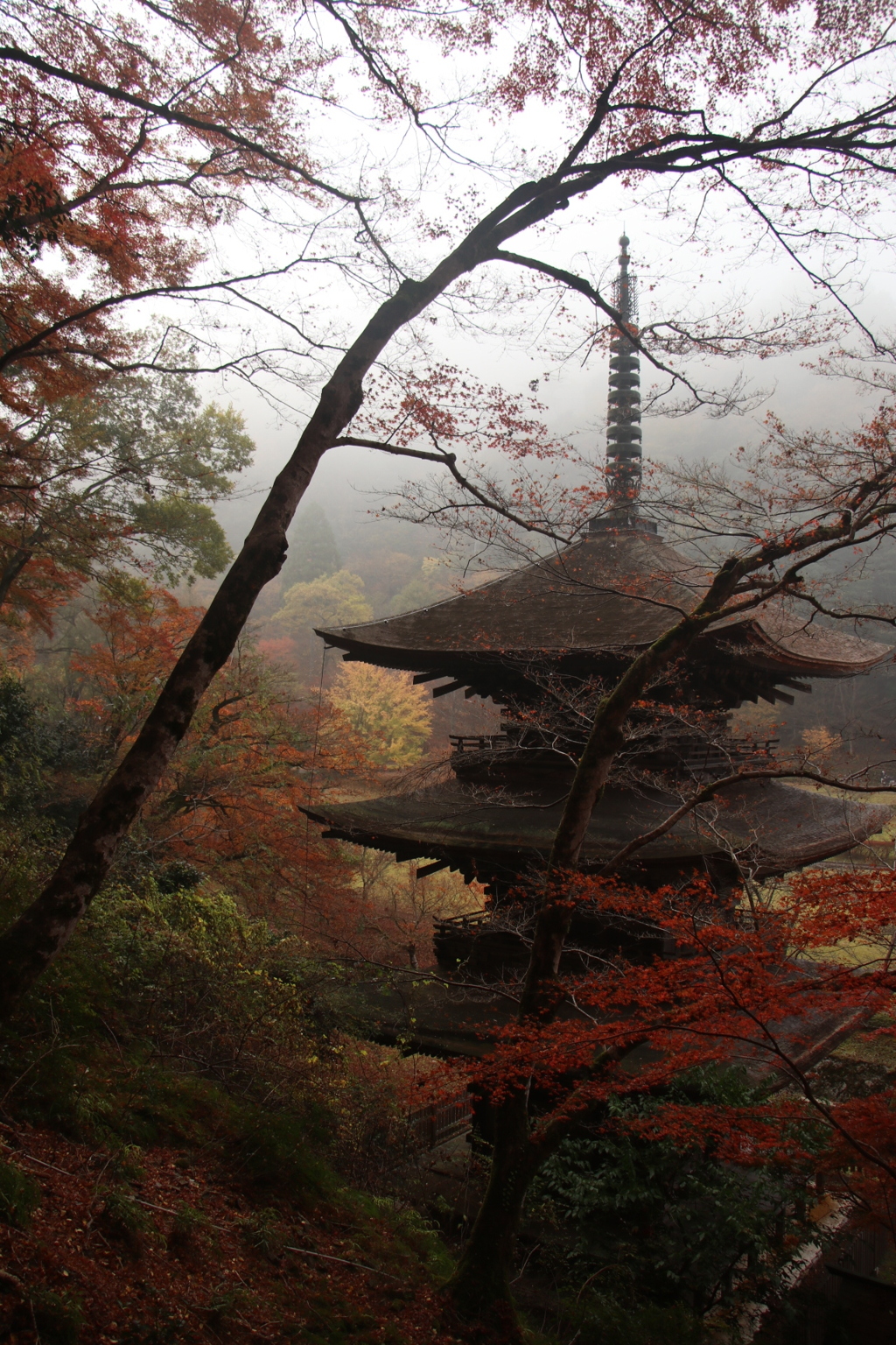 金剛院