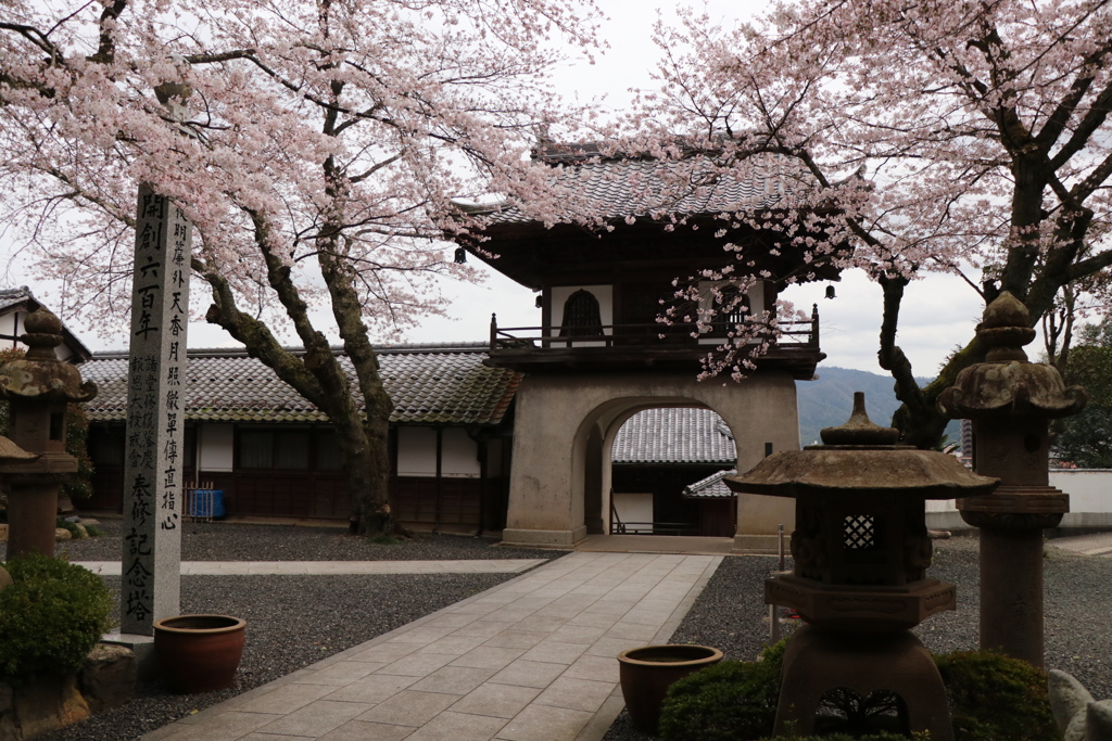 竜宮城？