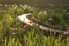 菖蒲園