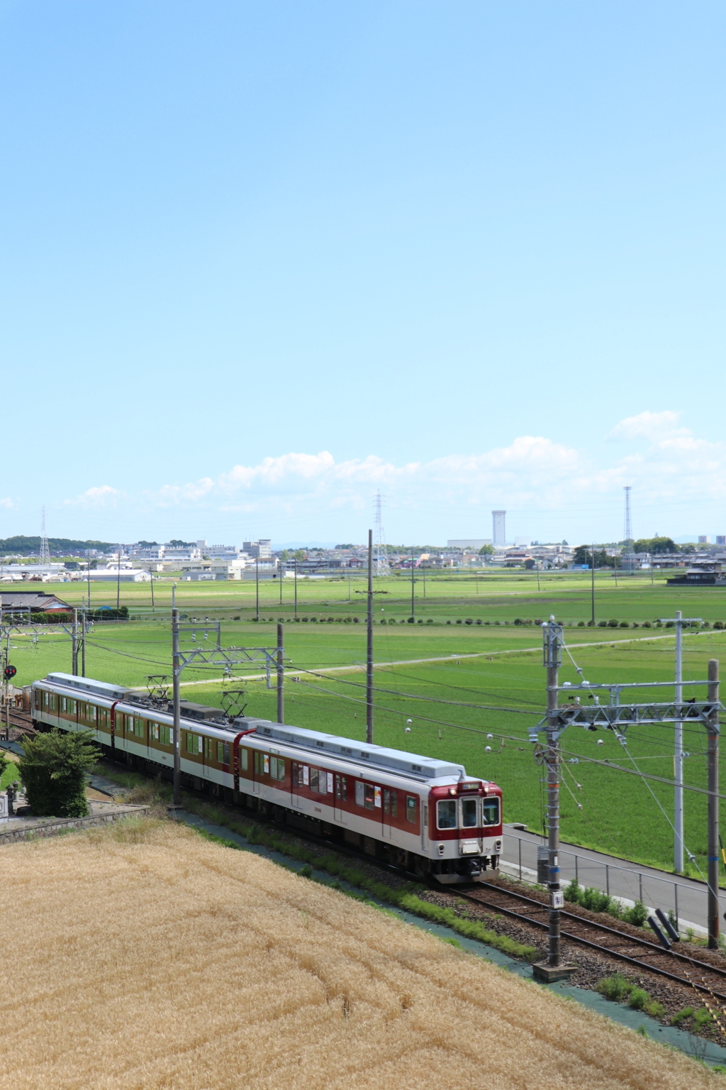 水田を行く。②