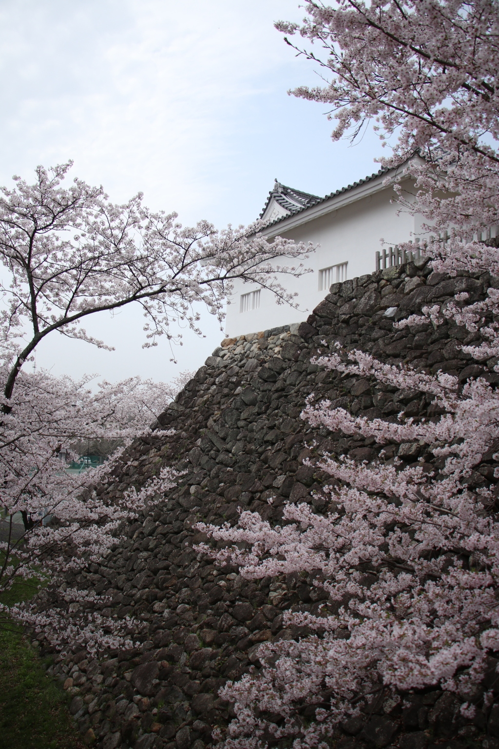 亀山城