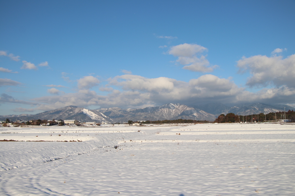 北海道？