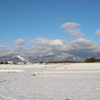 北海道？