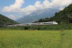 しらさぎが行く