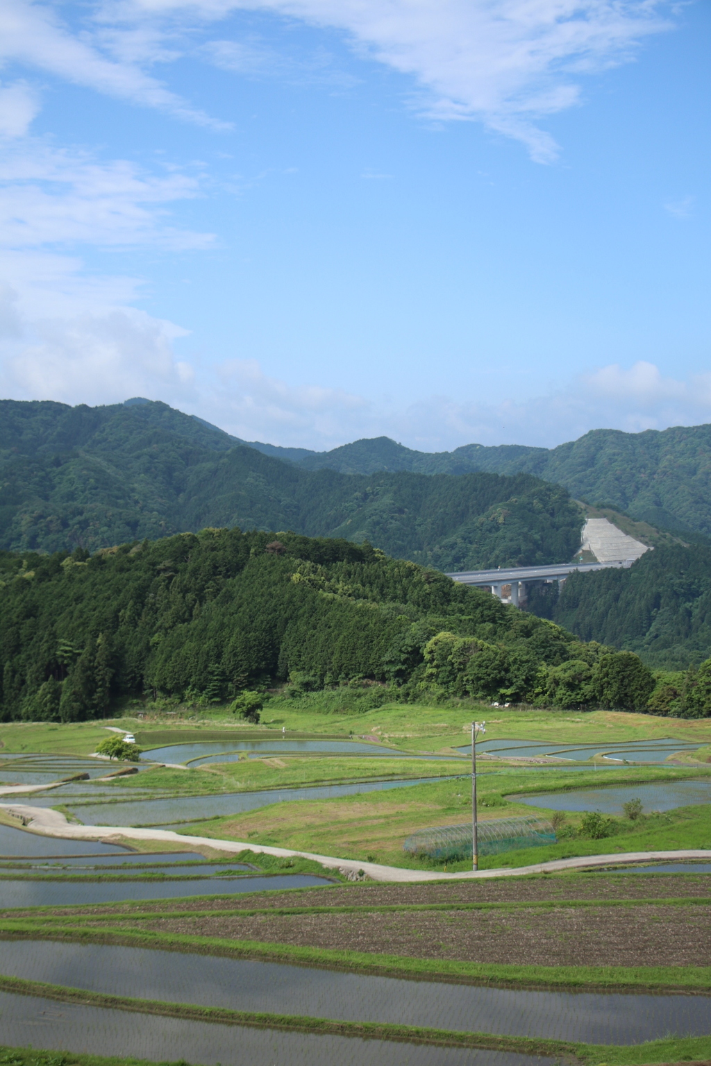 坂本棚田