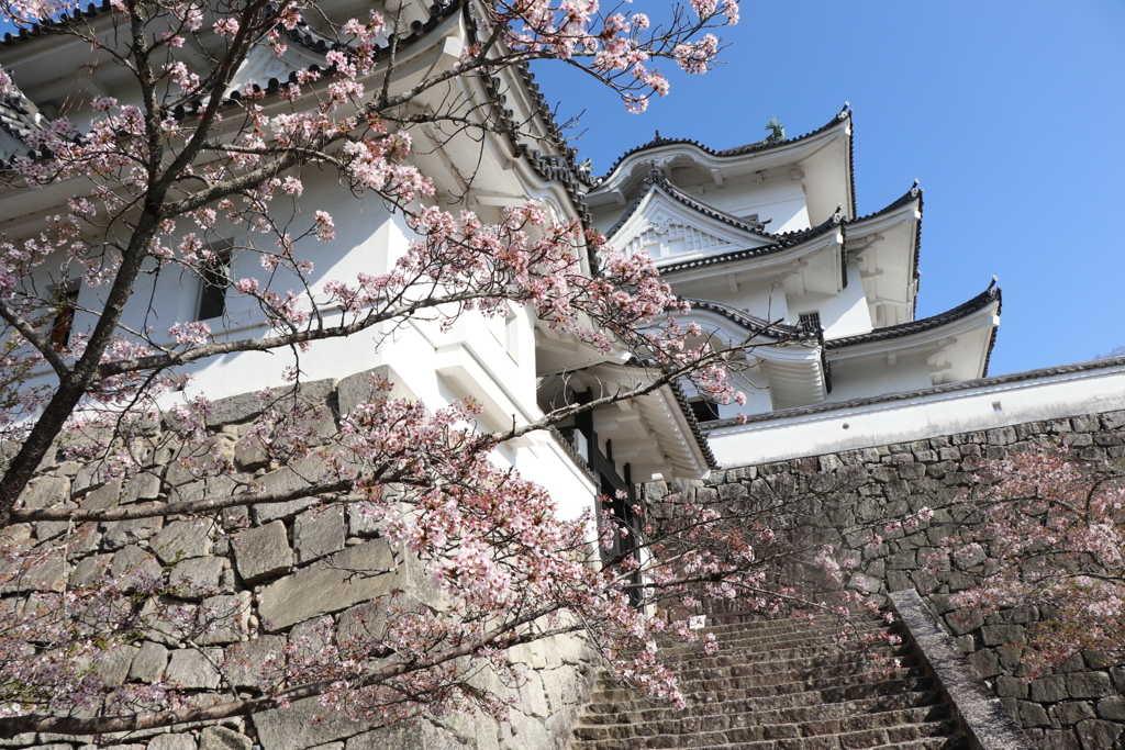 伊賀上野城