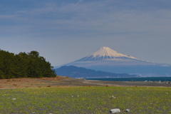 Beautiful　Fuji