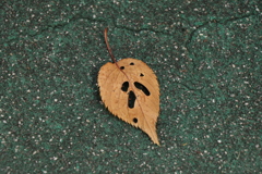 落ち葉のハロウィン