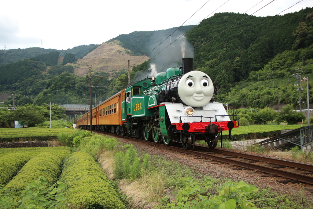 グリーン　トーマス