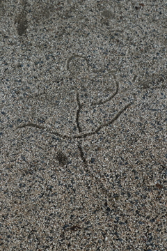 謎の地上絵