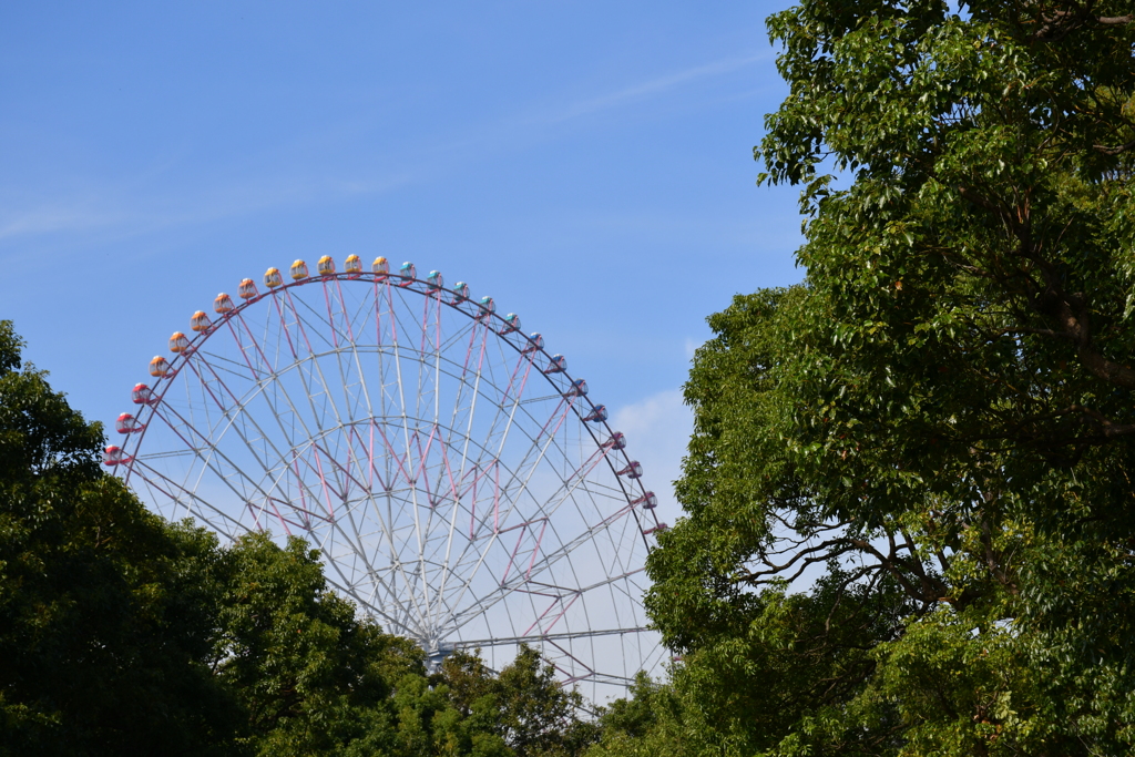 観覧車