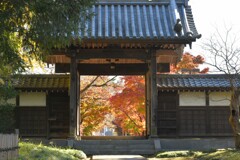 東圓寺