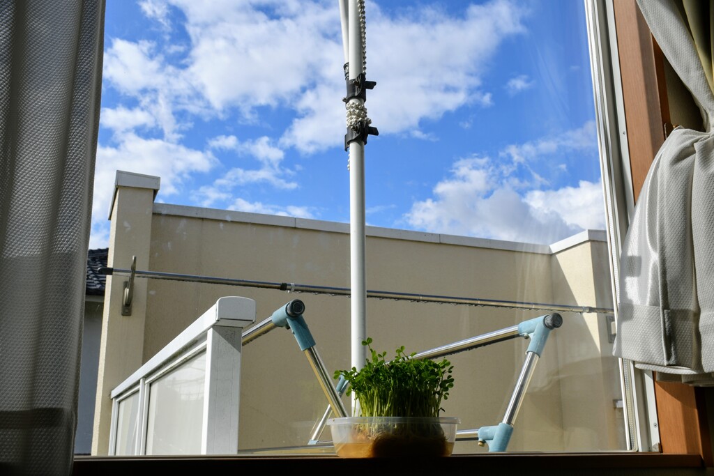 ボーッと空を見上げたら