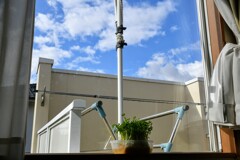 ボーッと空を見上げたら