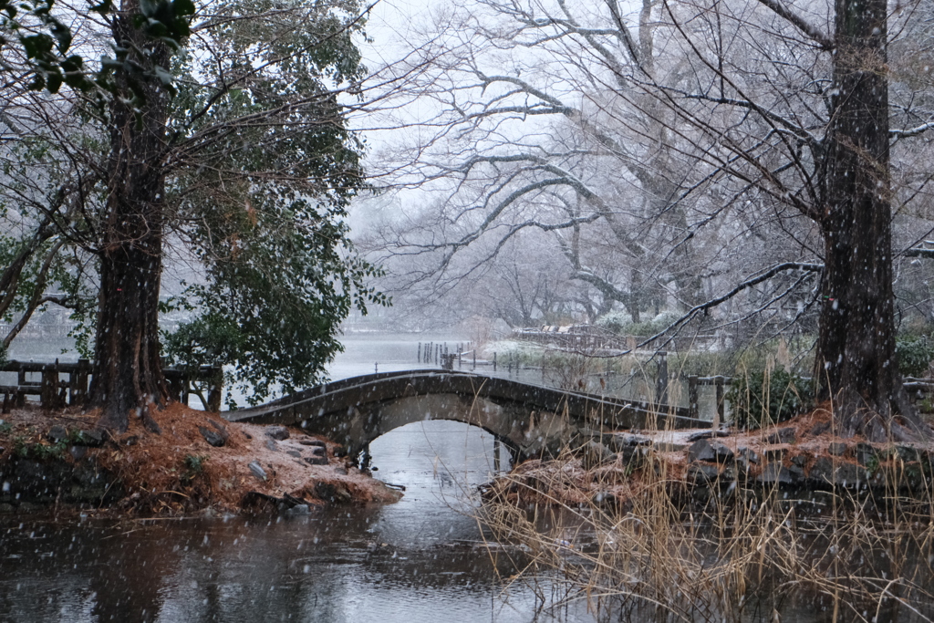 雪と橋