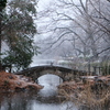 雪と橋