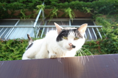 何してるの？