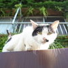 何してるの？
