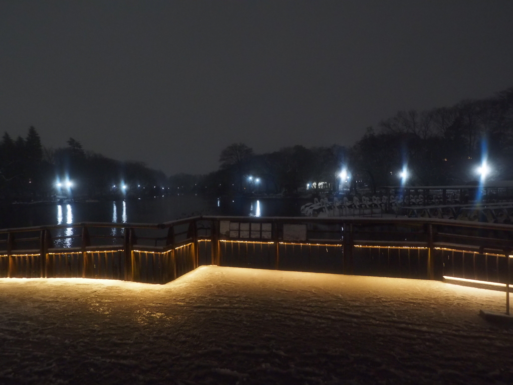 雪夜の公園