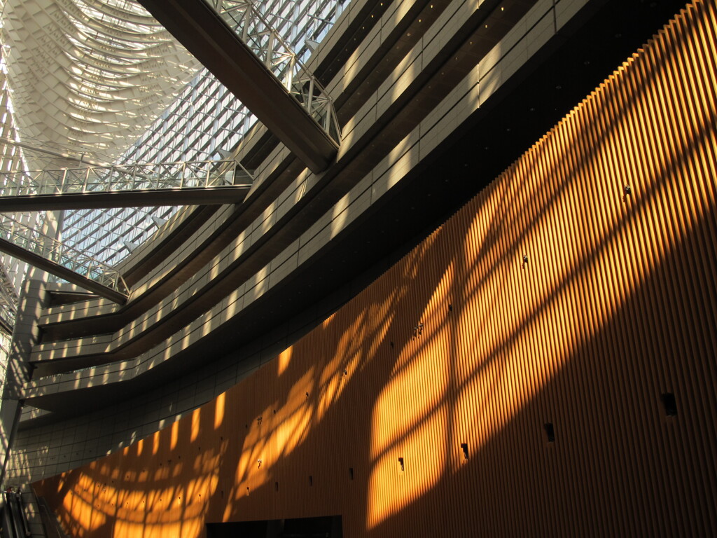 東京国際フォーラム1