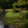 小岩川後楽園7